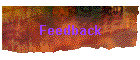 Feedback